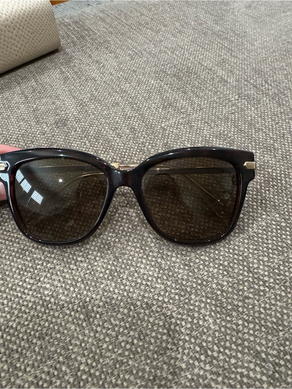 Jimmy Choo Sunglasses with case